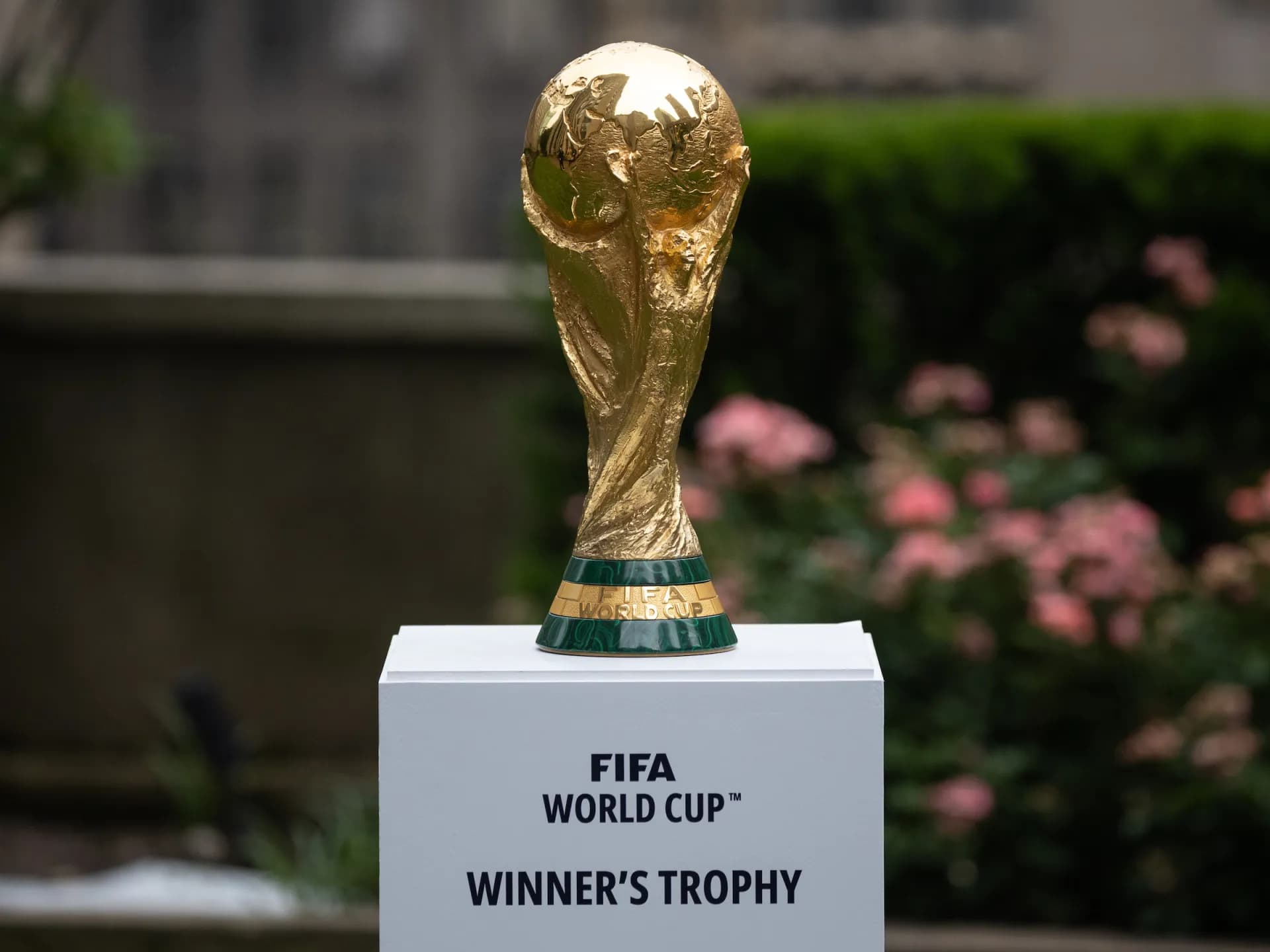 fifa