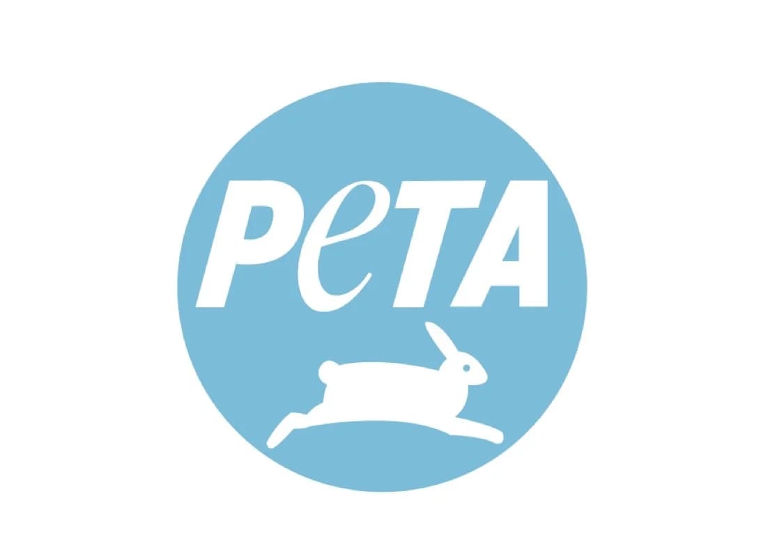 Image for post 139995