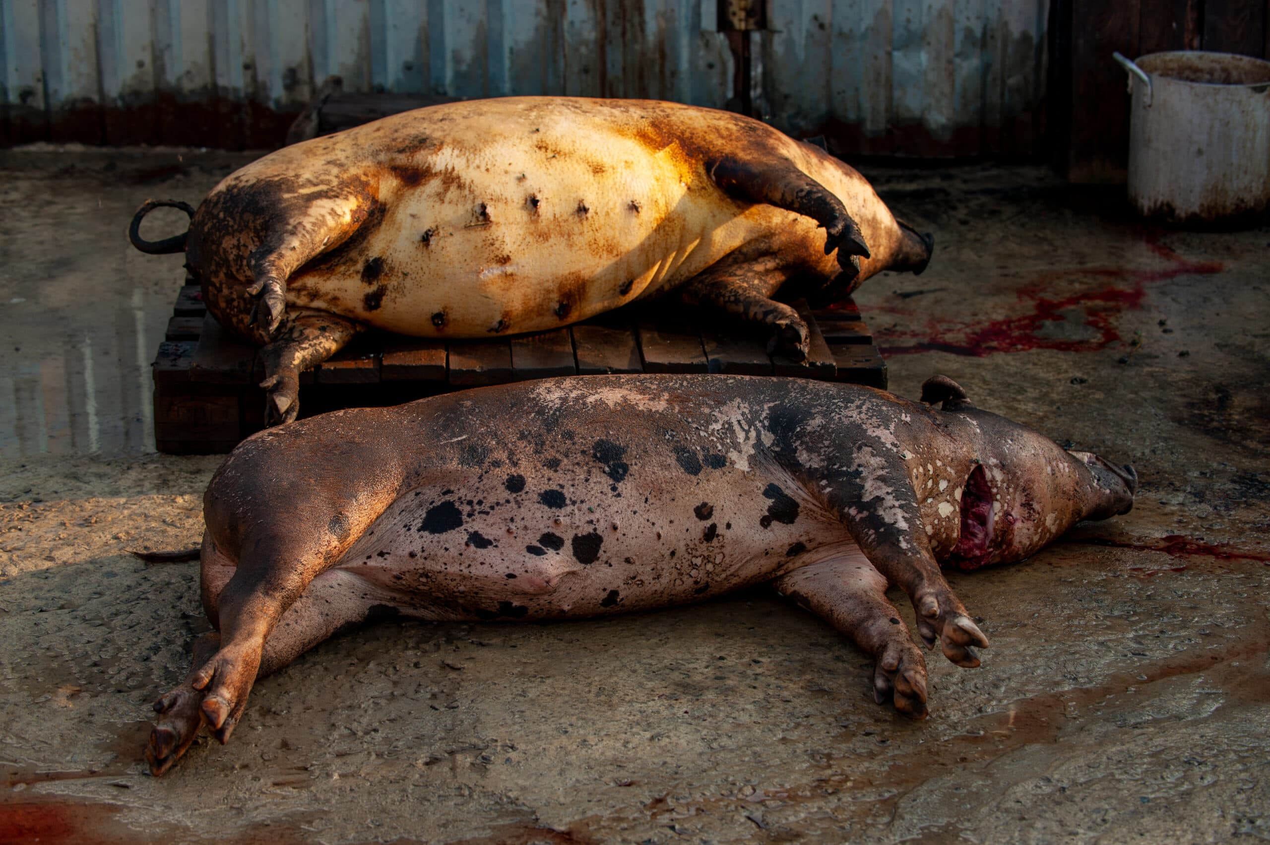 Image for post 32382