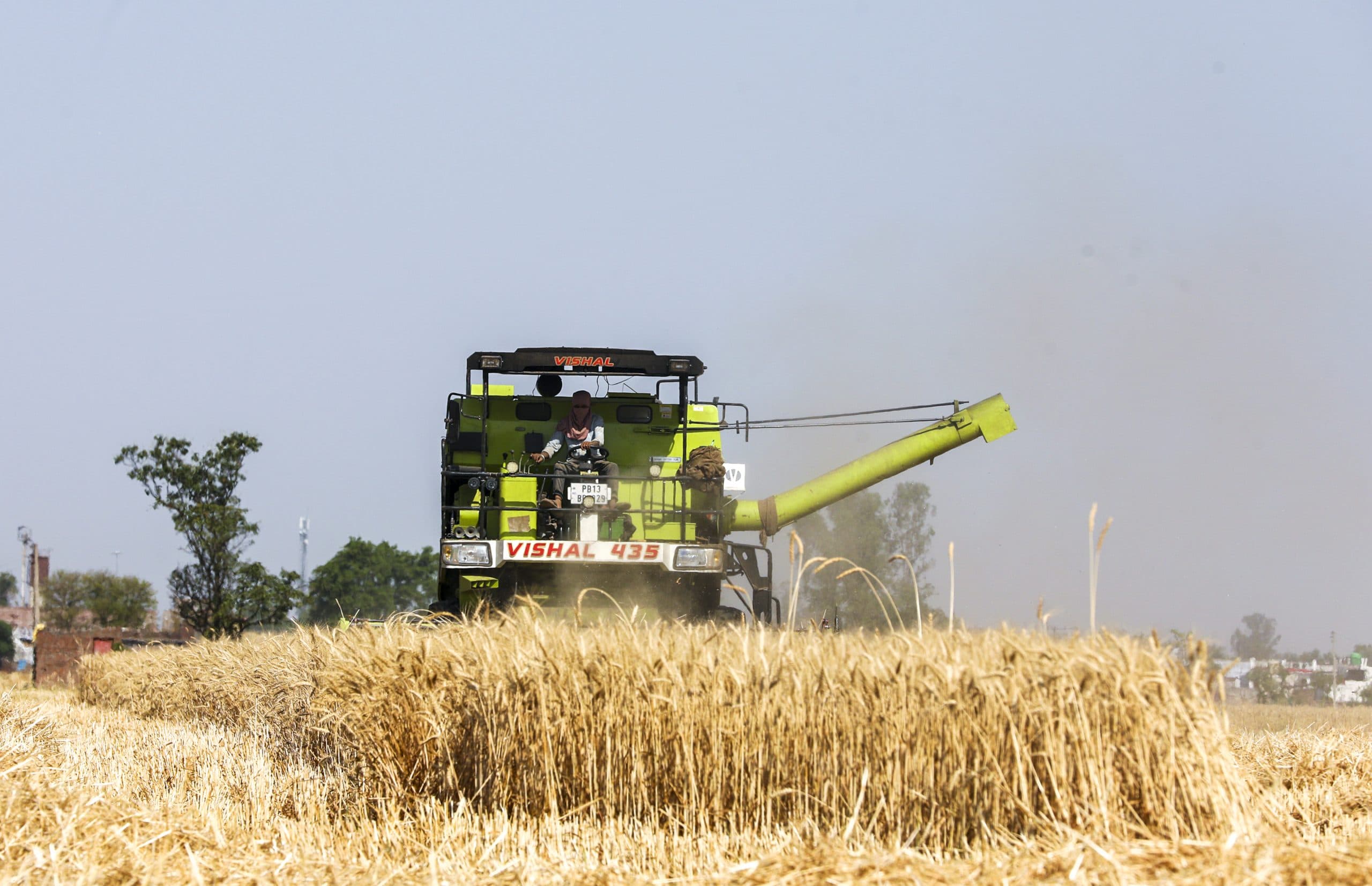 Image for post 59975