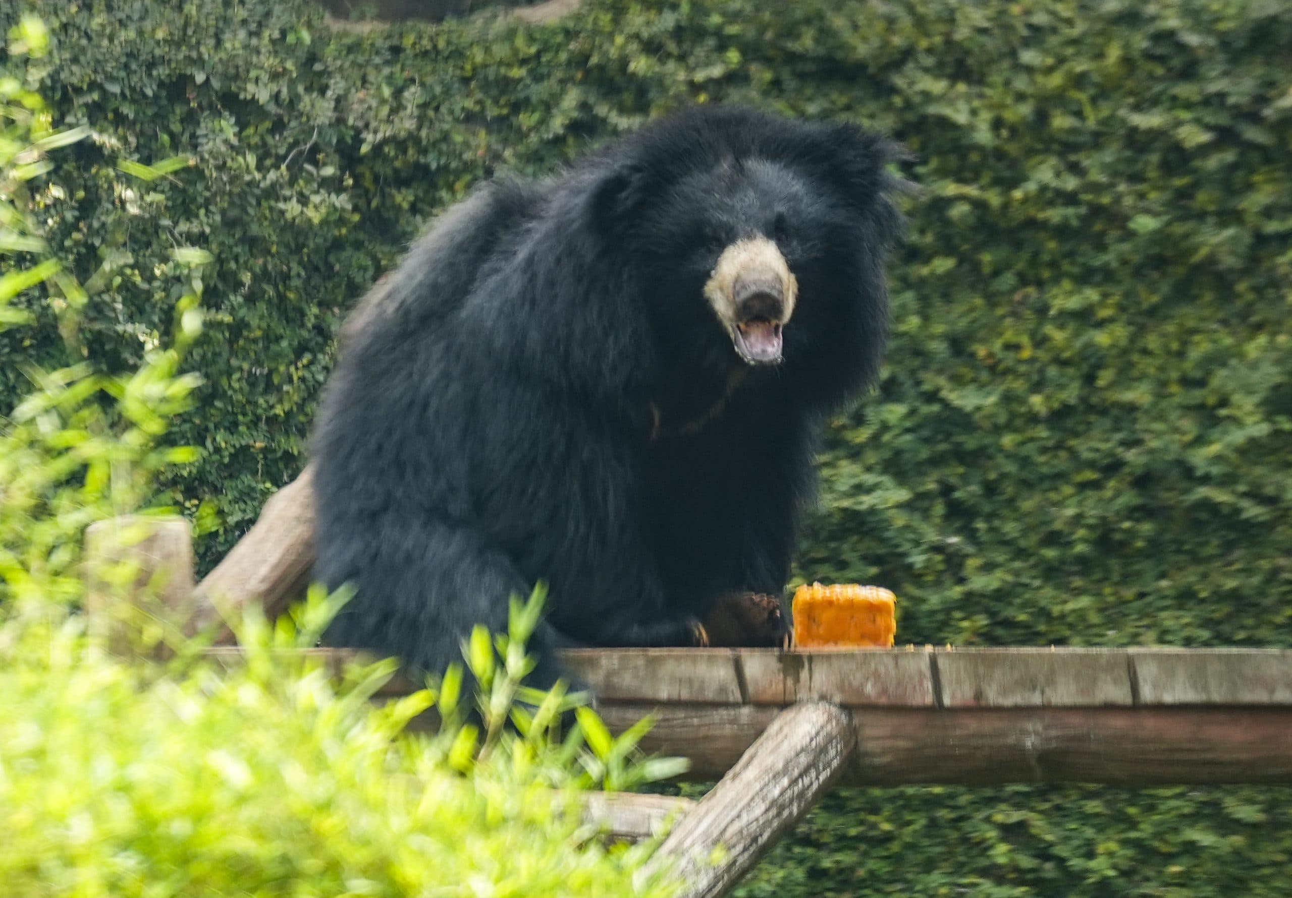 Image for post 120603