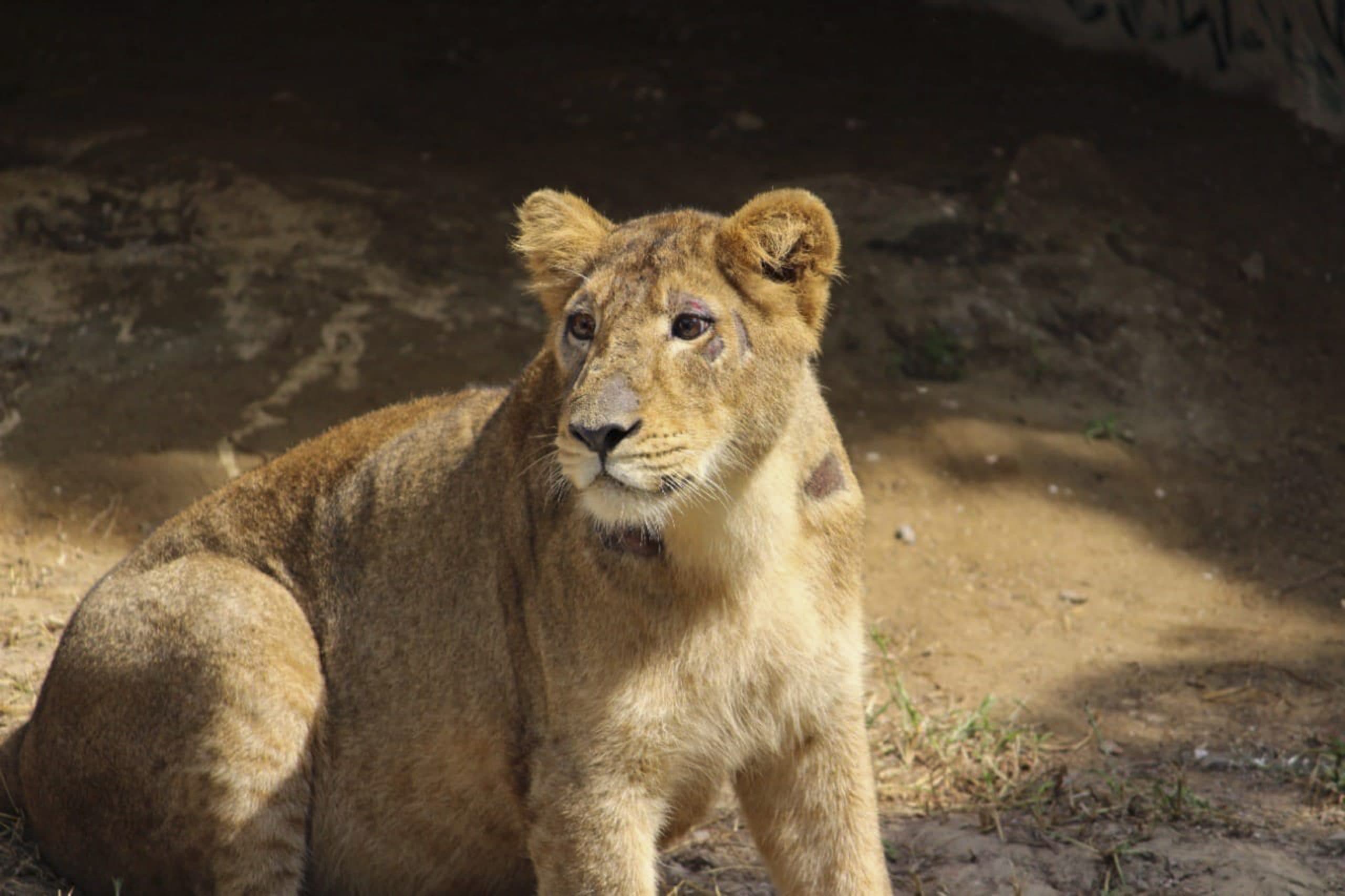 Image for post 92229