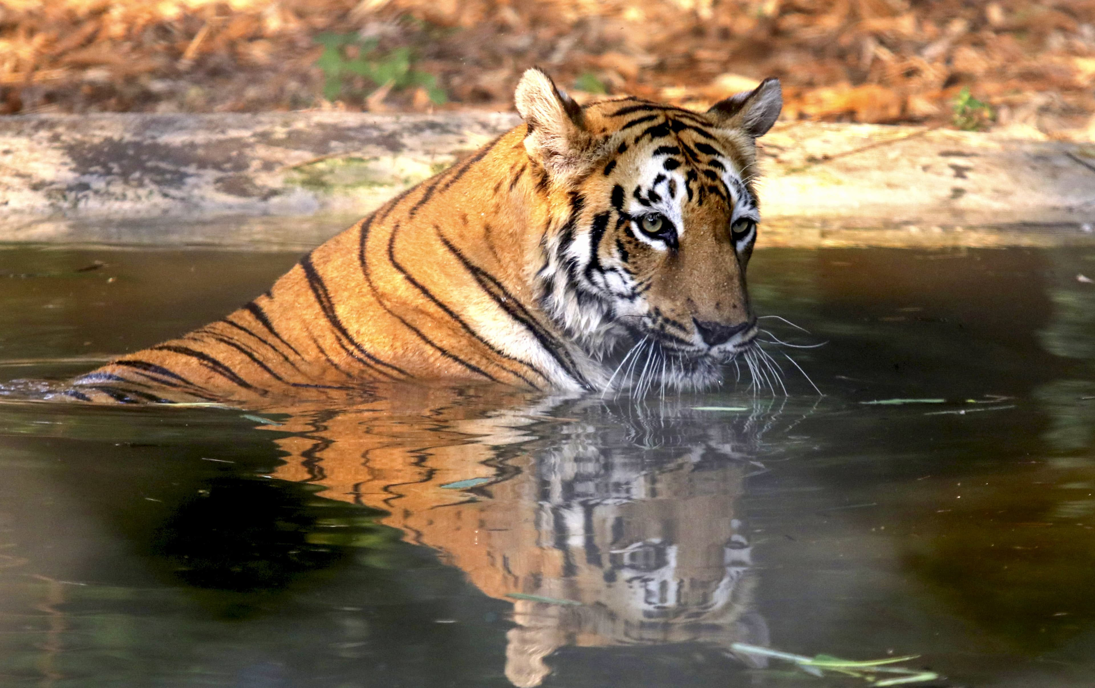 Image for post 180307