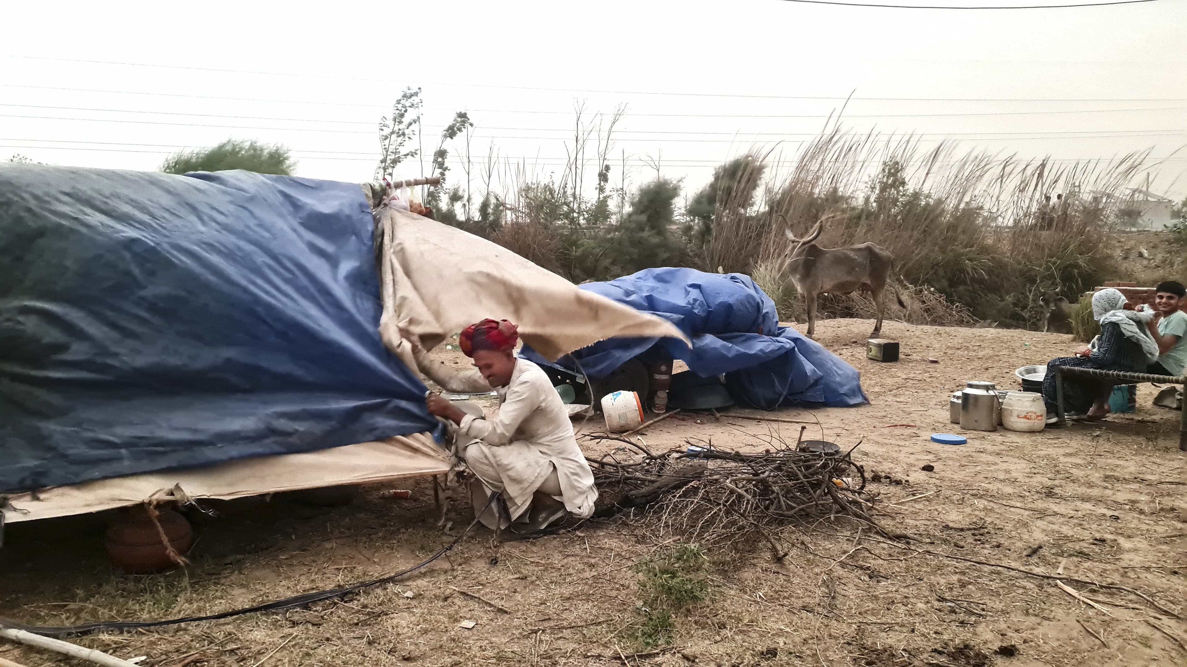 Image for post 24353