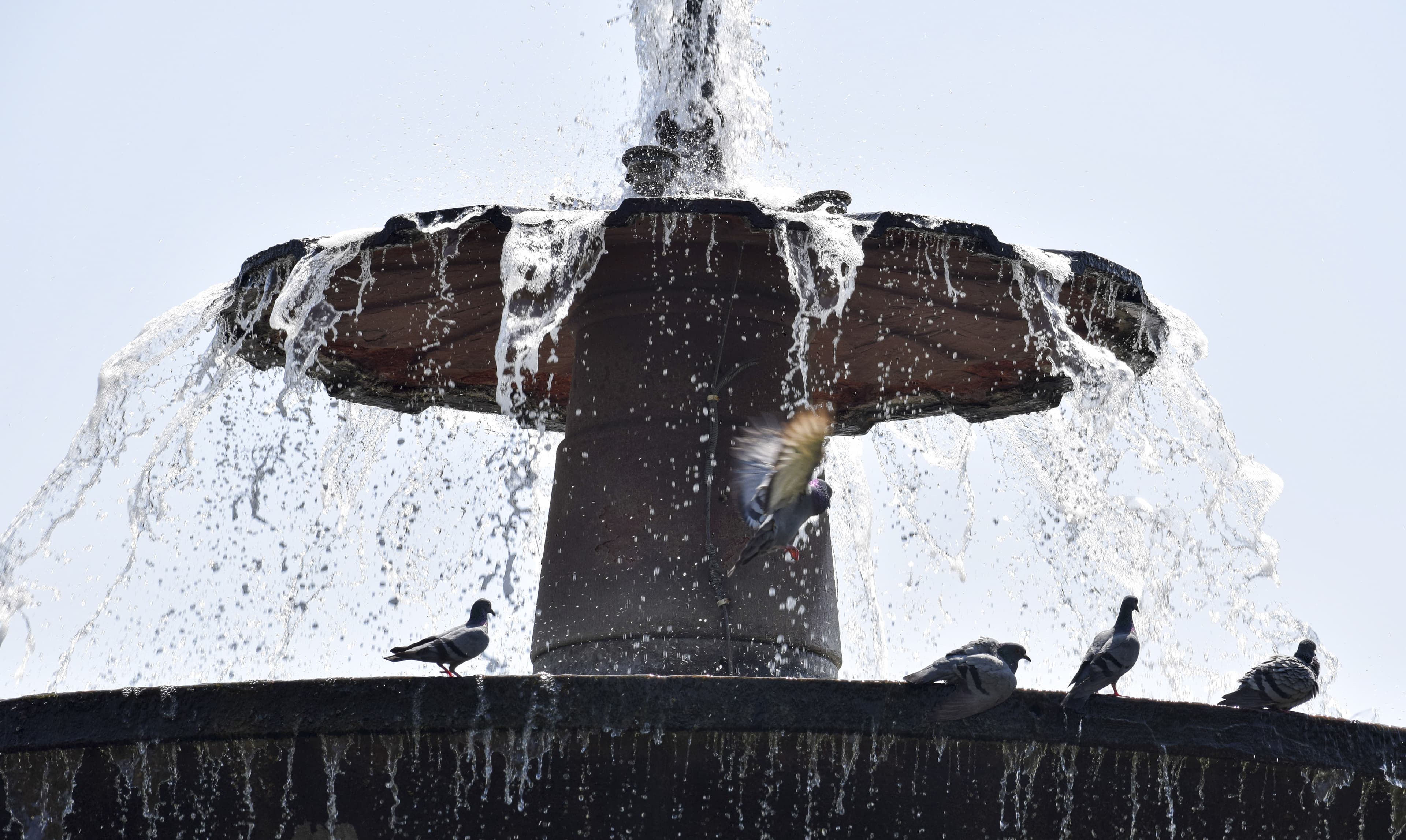 Image for post 107735