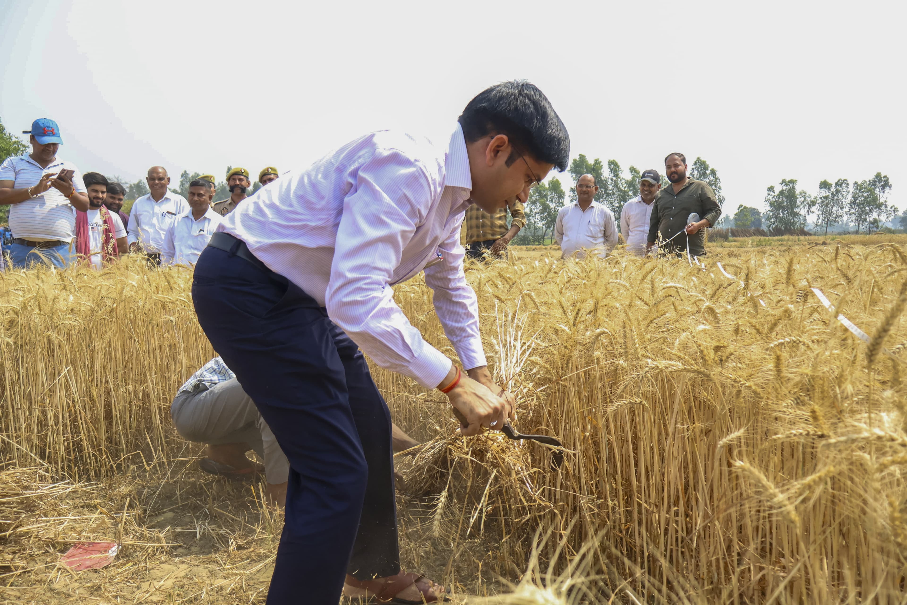 Image for post 25799