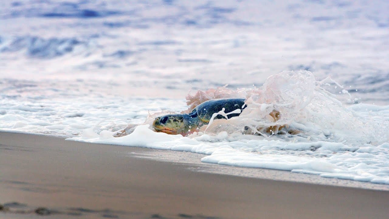 Image for post 32198