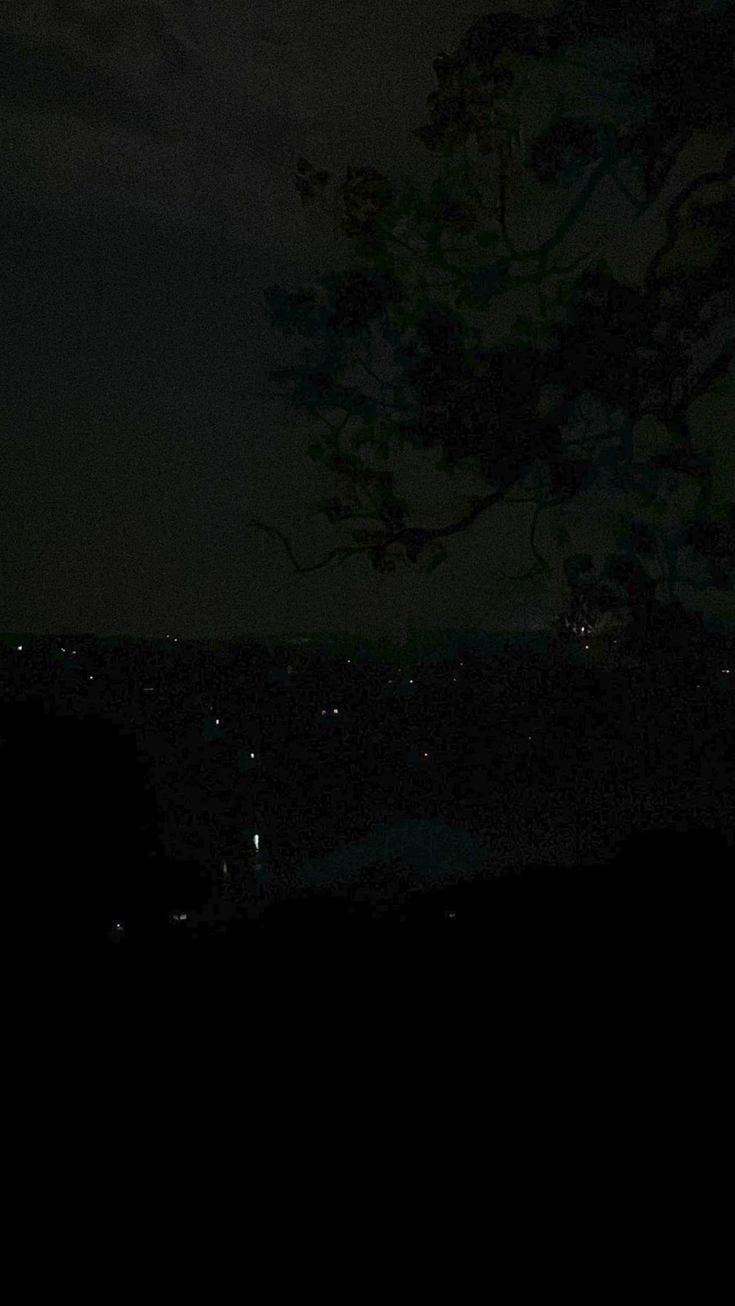 Image for post 72199