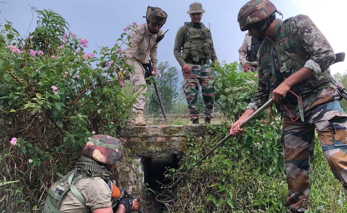 Image for post 406196