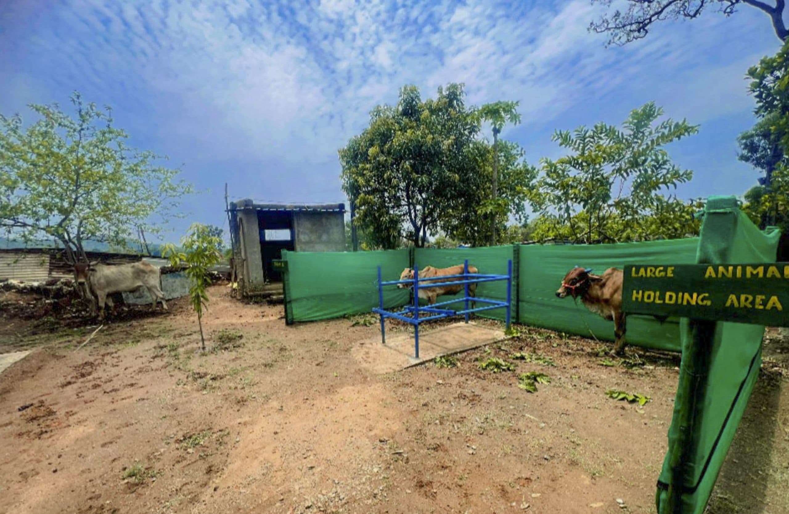 Image for post 85356