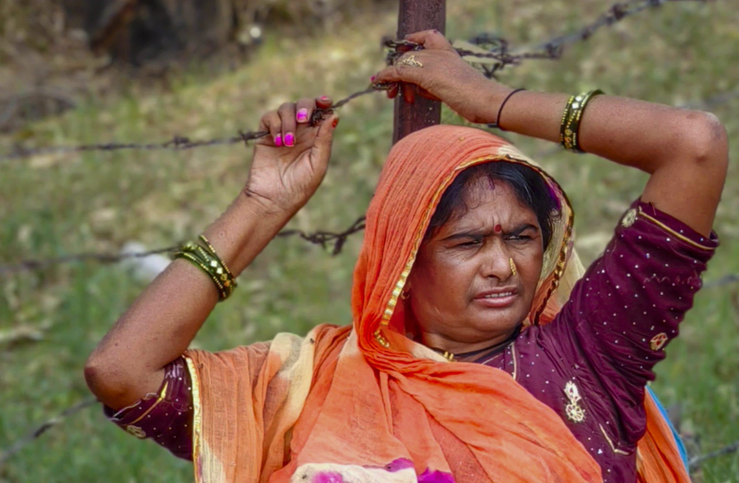 Image for post 55301