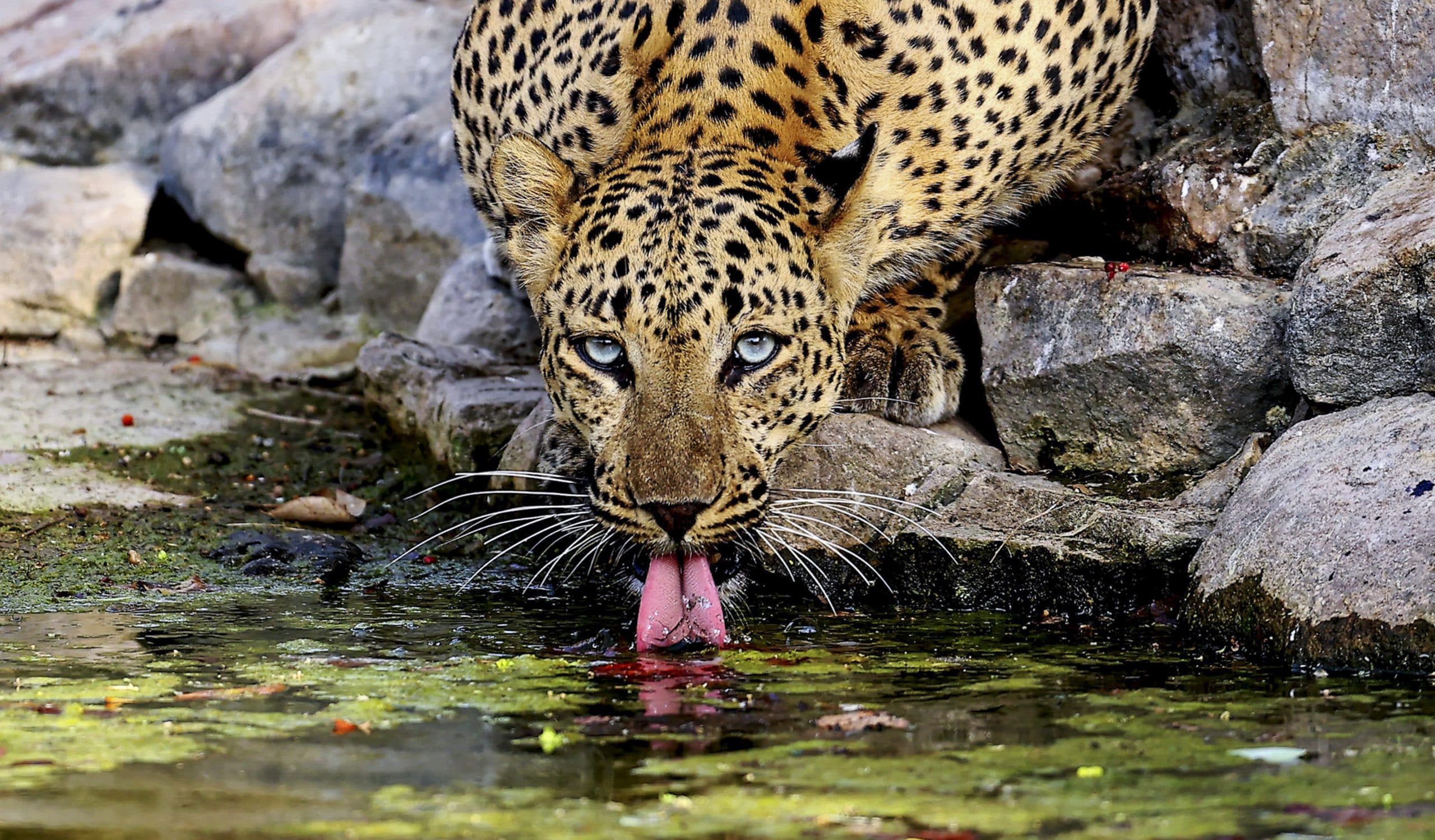 Image for post 100078