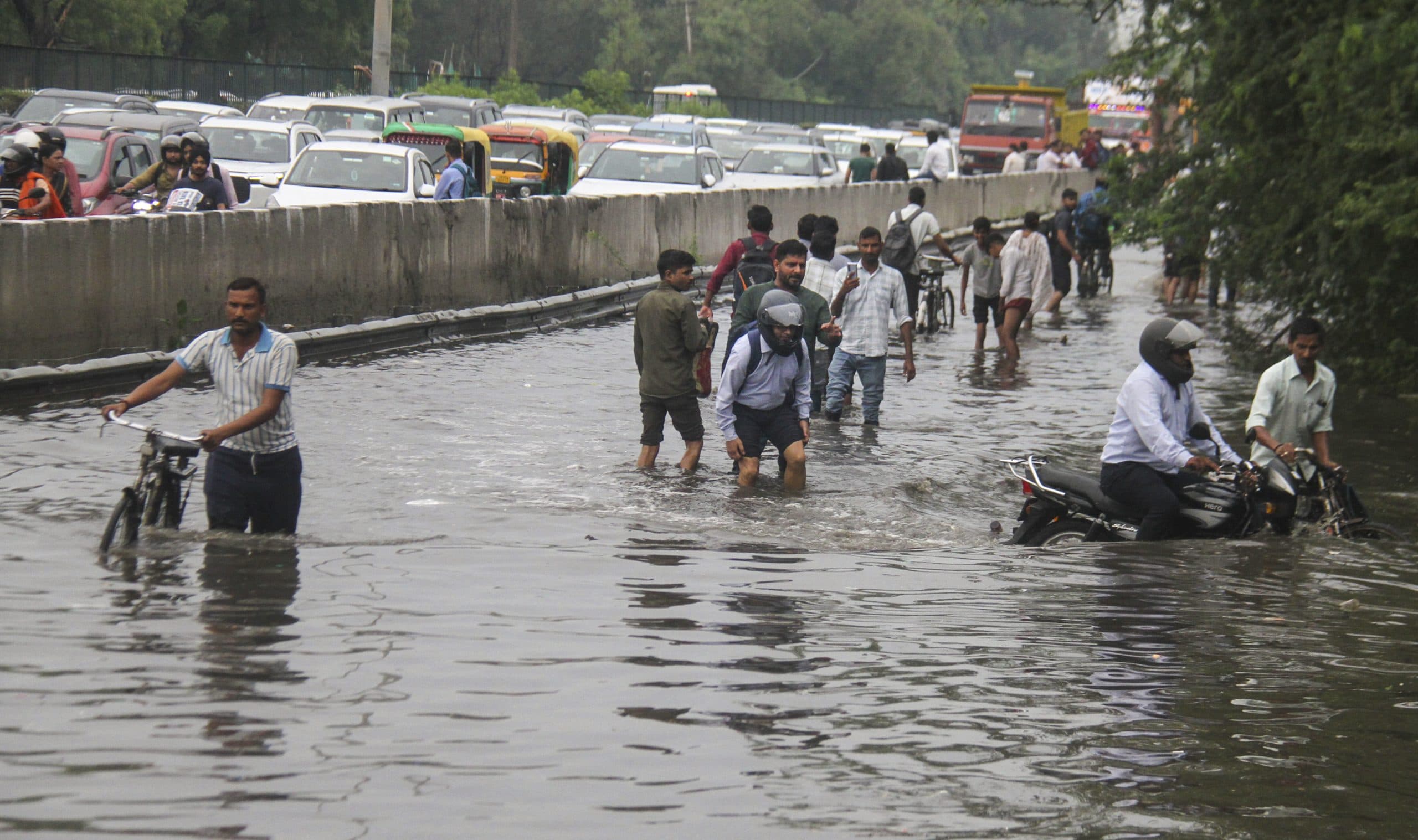 Image for post 56981