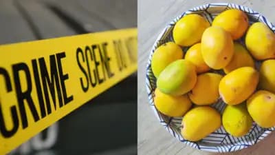 Image for post 133588