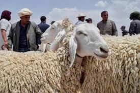 Image for post 133669