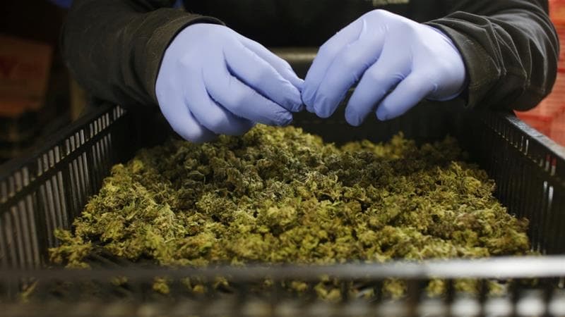 Image for post 150958