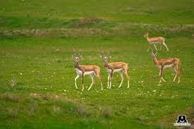 Image for post 150458