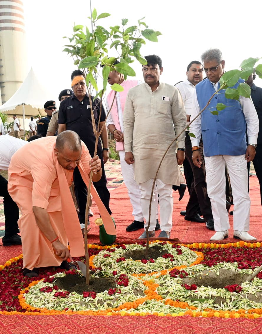 Image for post 204218