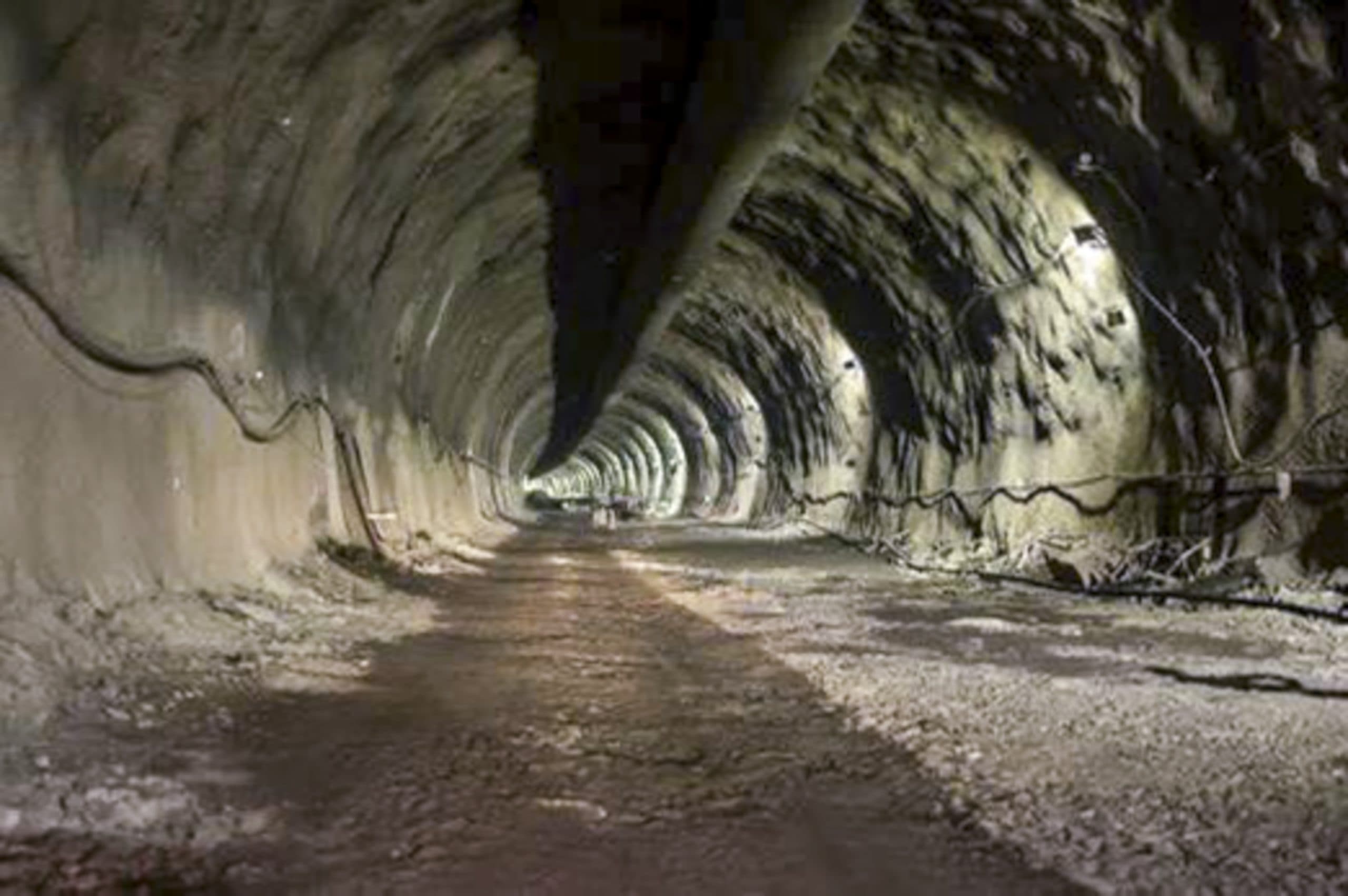 Image for post 306235