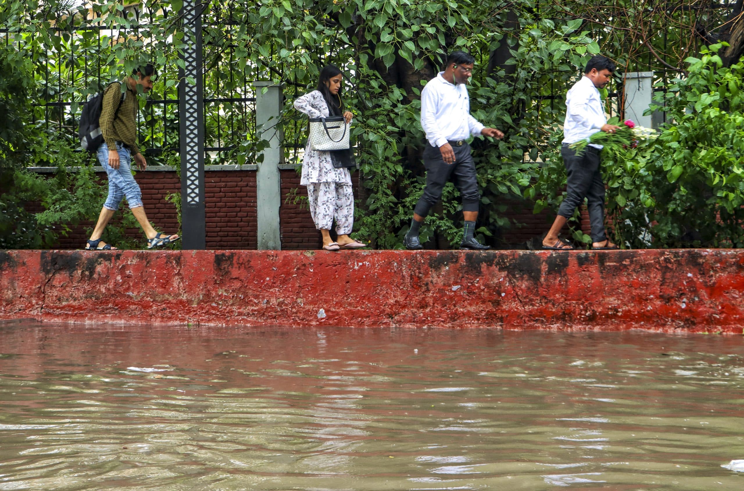 Image for post 254955