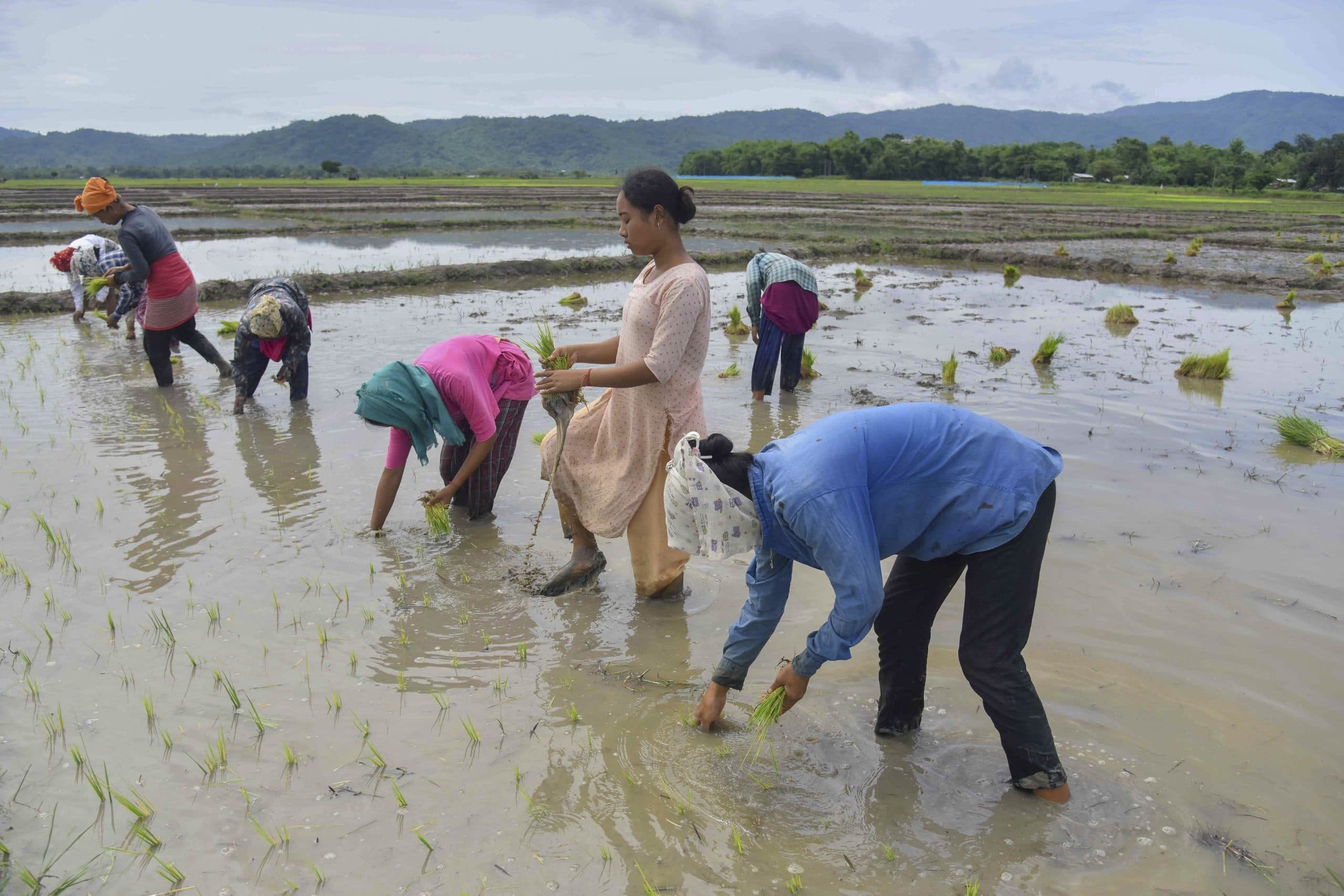 Image for post 190555