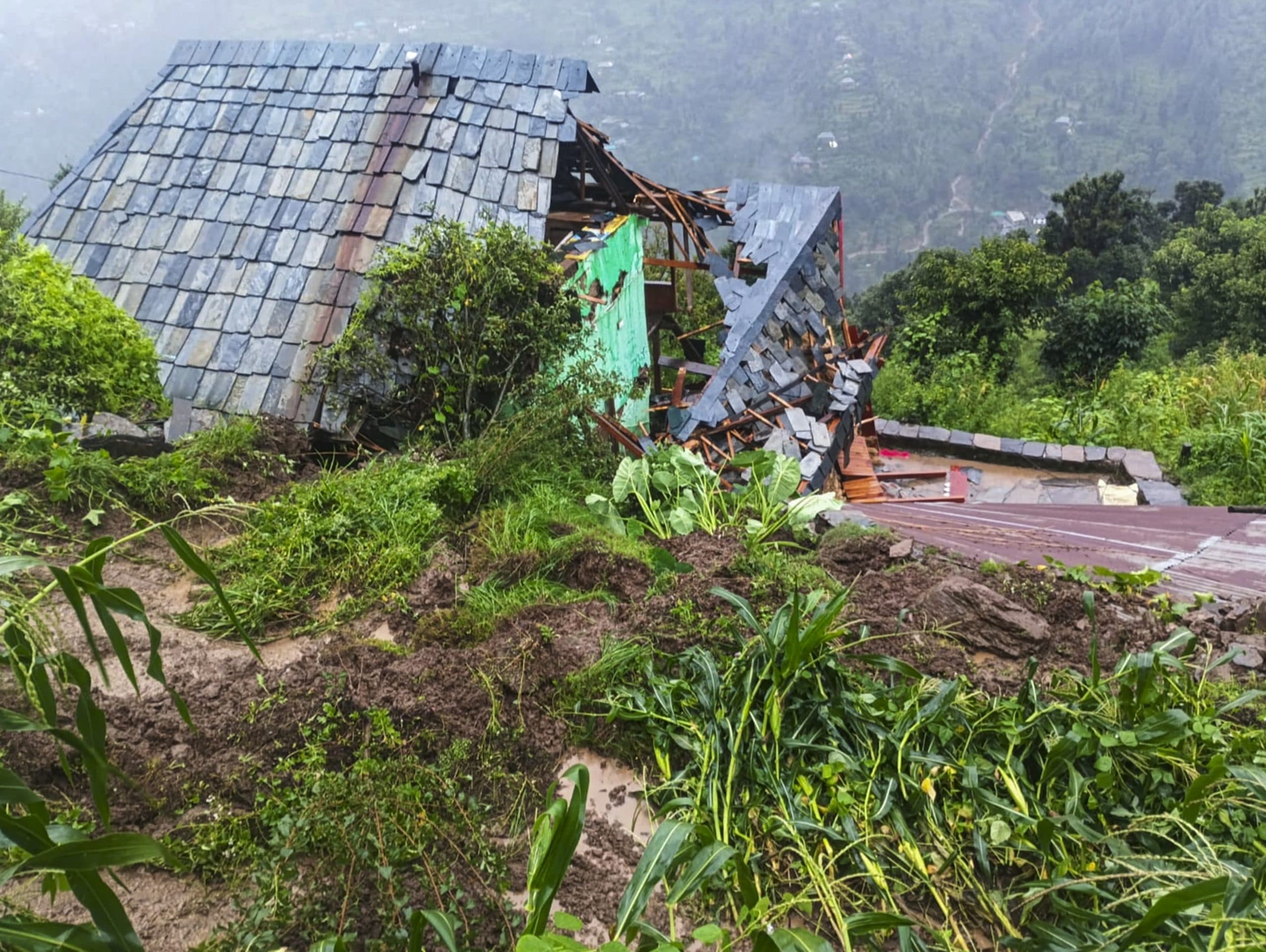 Image for post 281801