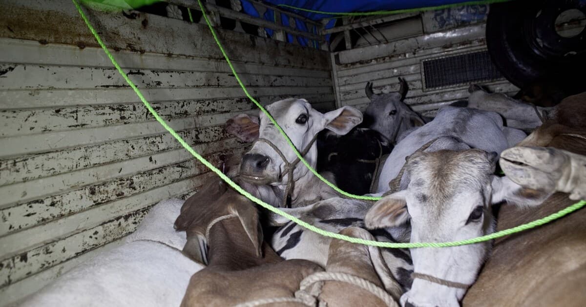 Image for post 289248