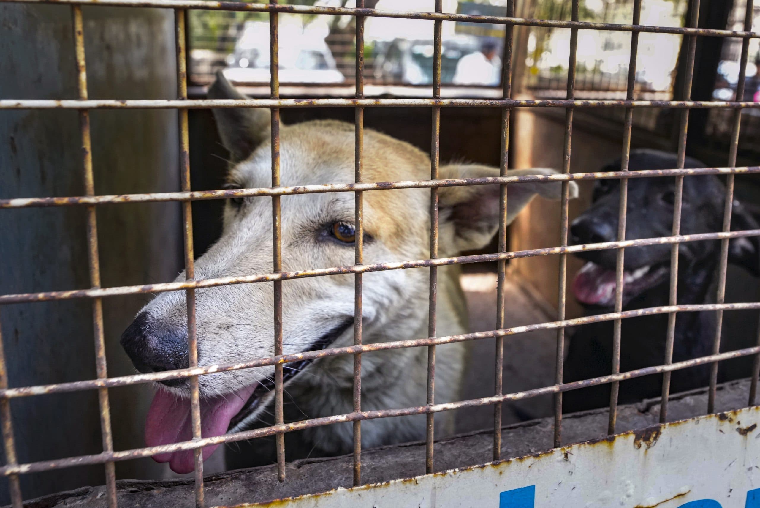 Image for post 270774