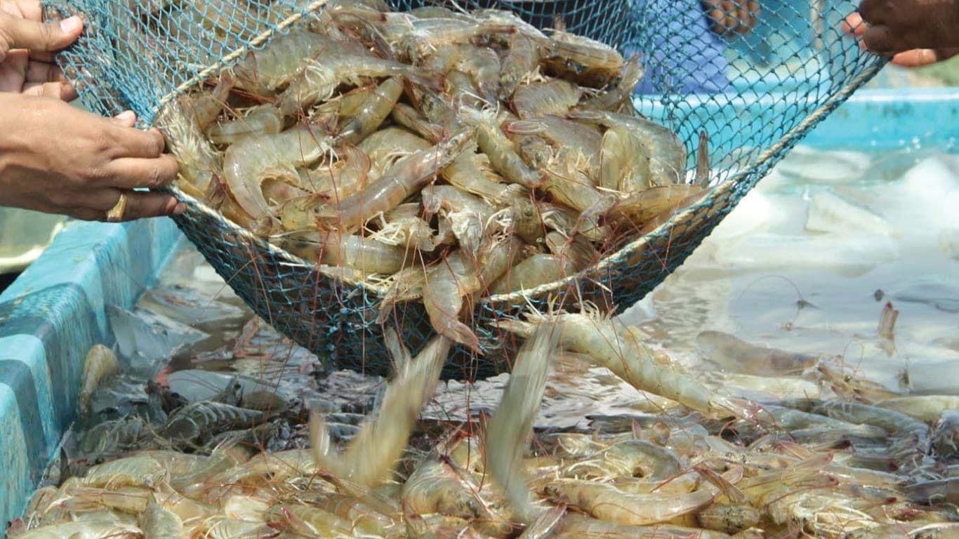 Image for post 303814