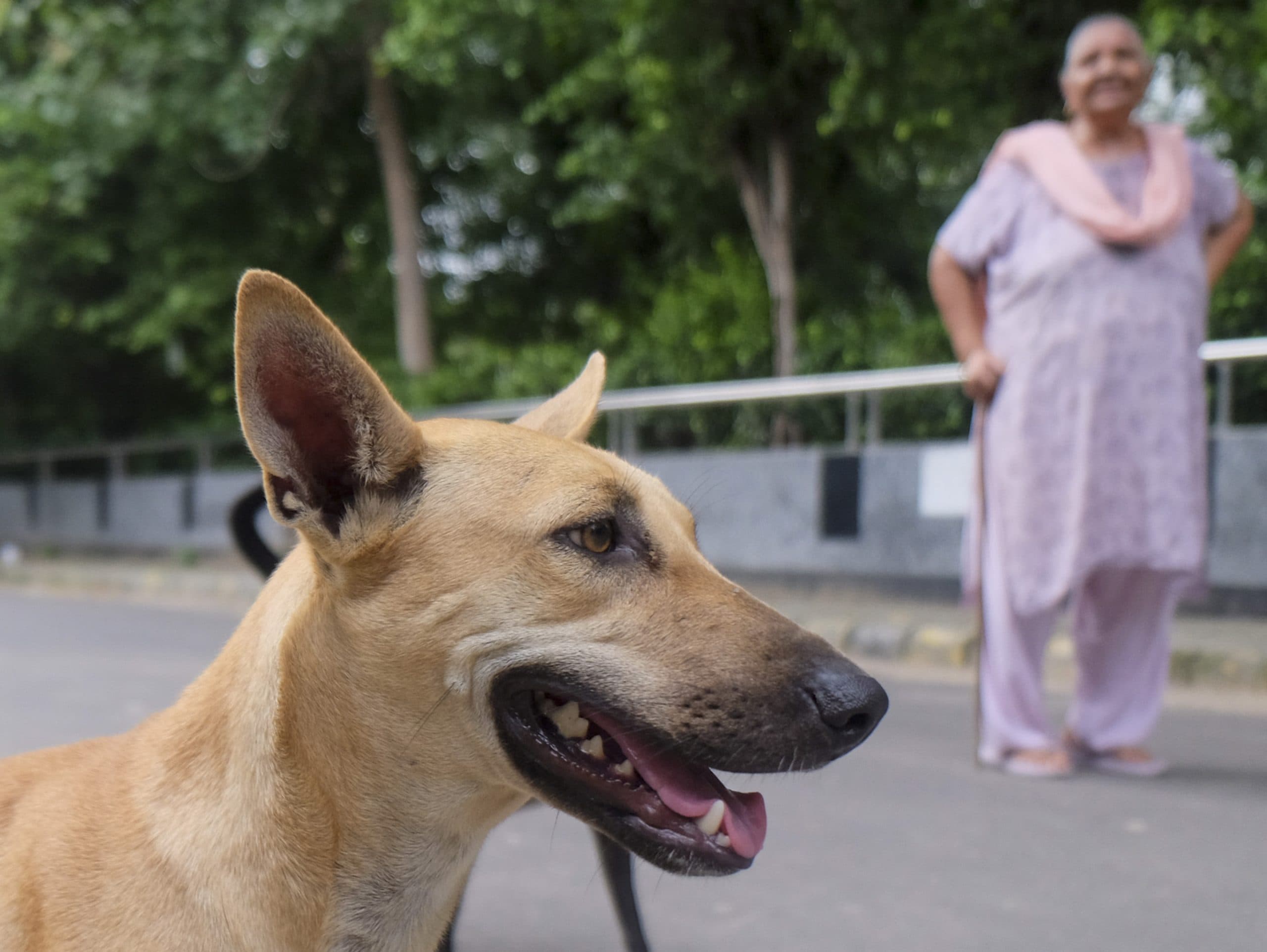 Image for post 271858