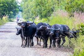 Image for post 274325