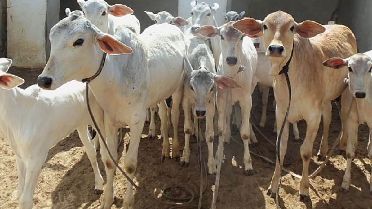 Image for post 297951