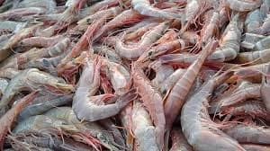 Image for post 271085