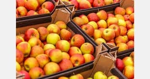 Image for post 290099