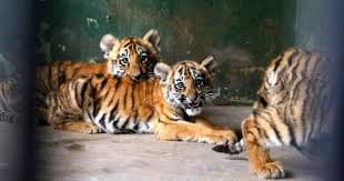 Image for post 290432