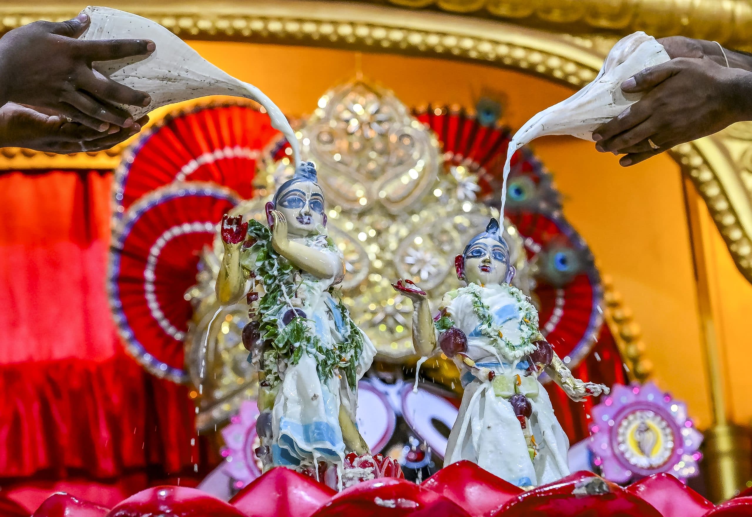 Image for post 309829