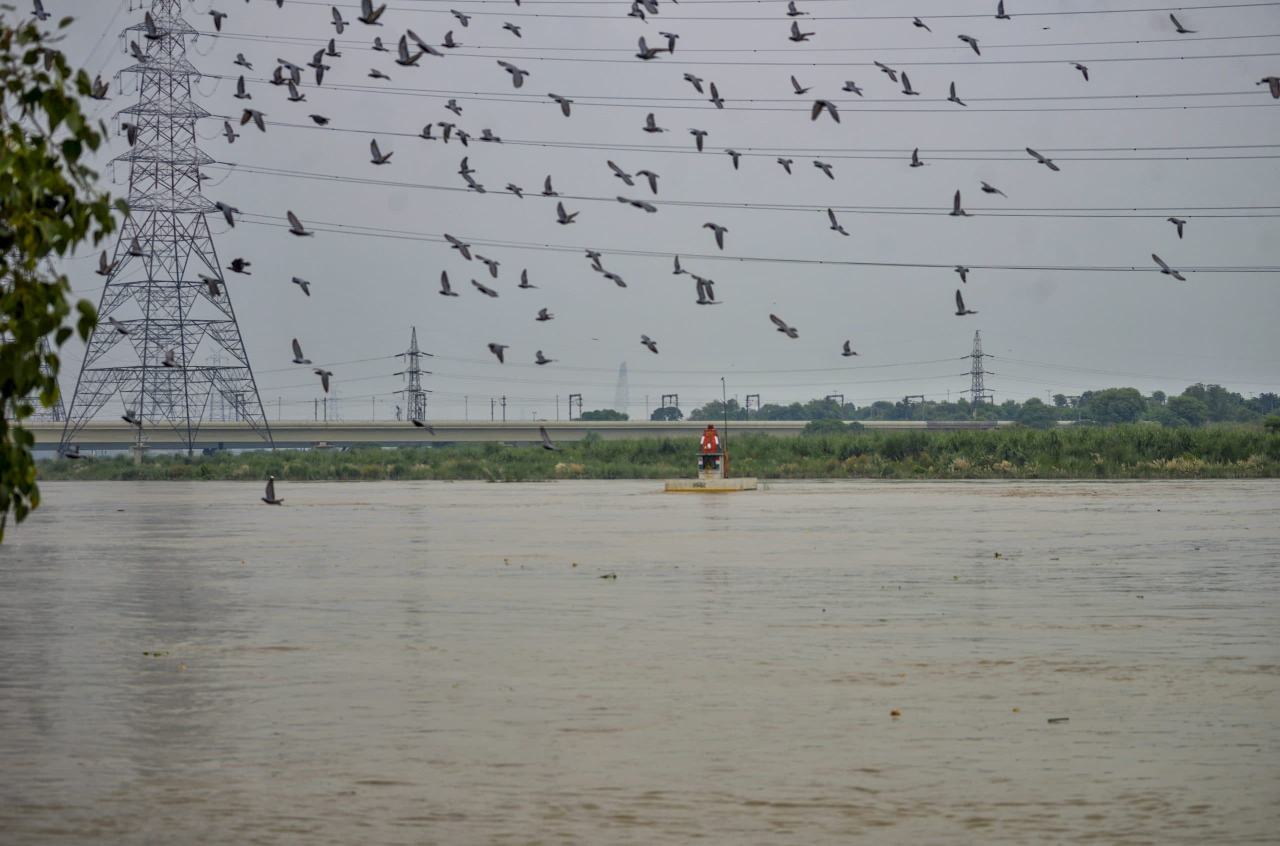 Image for post 281688