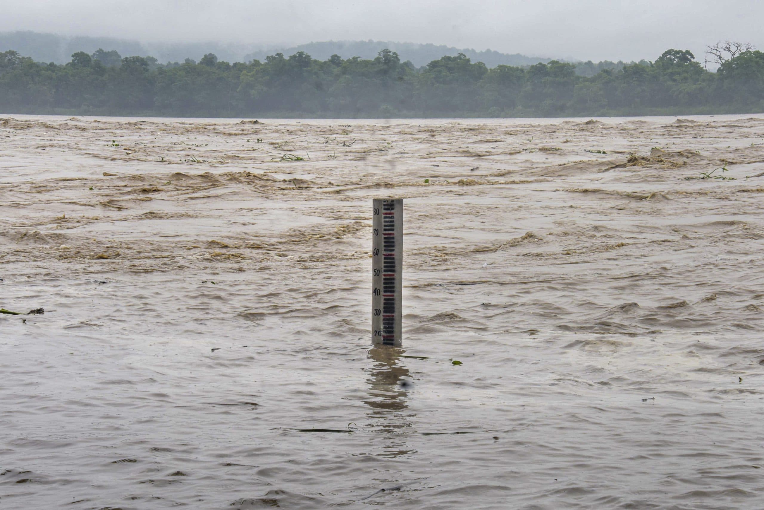 Image for post 284252