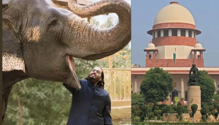 Image for post 340095