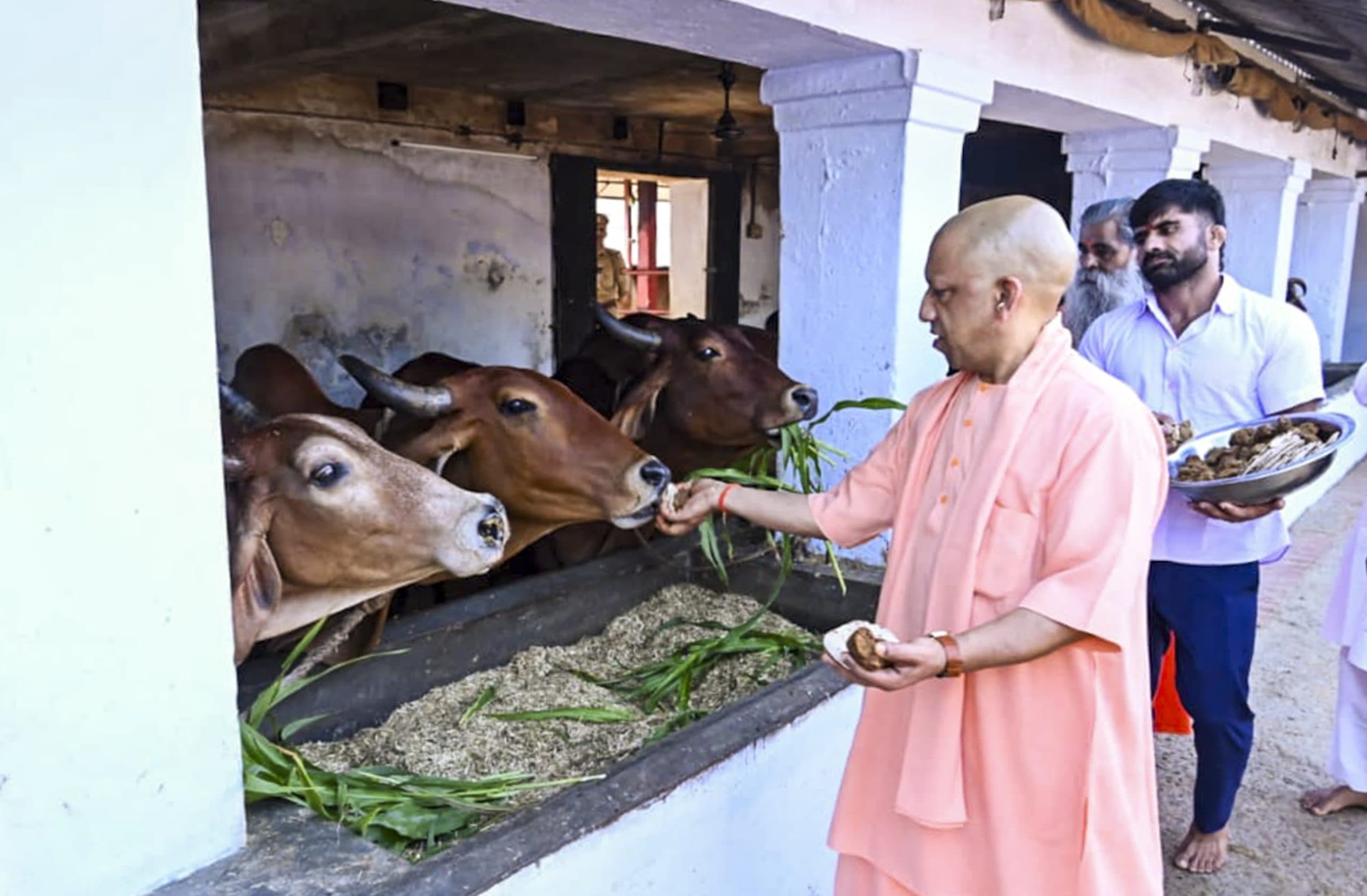 Image for post 367168