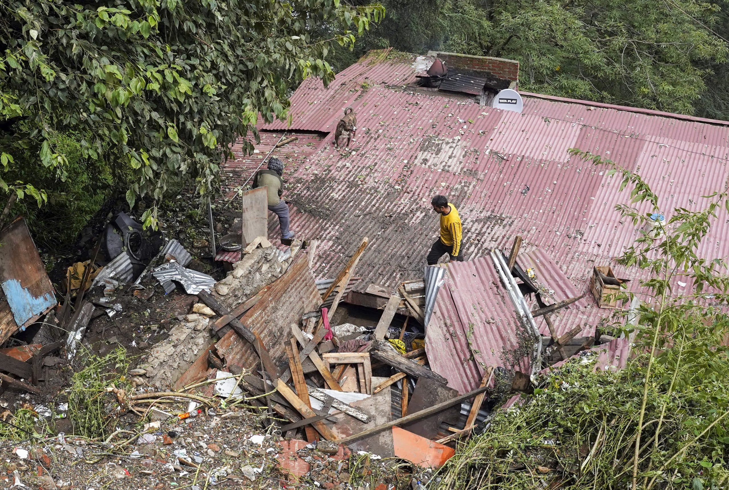 Image for post 342557