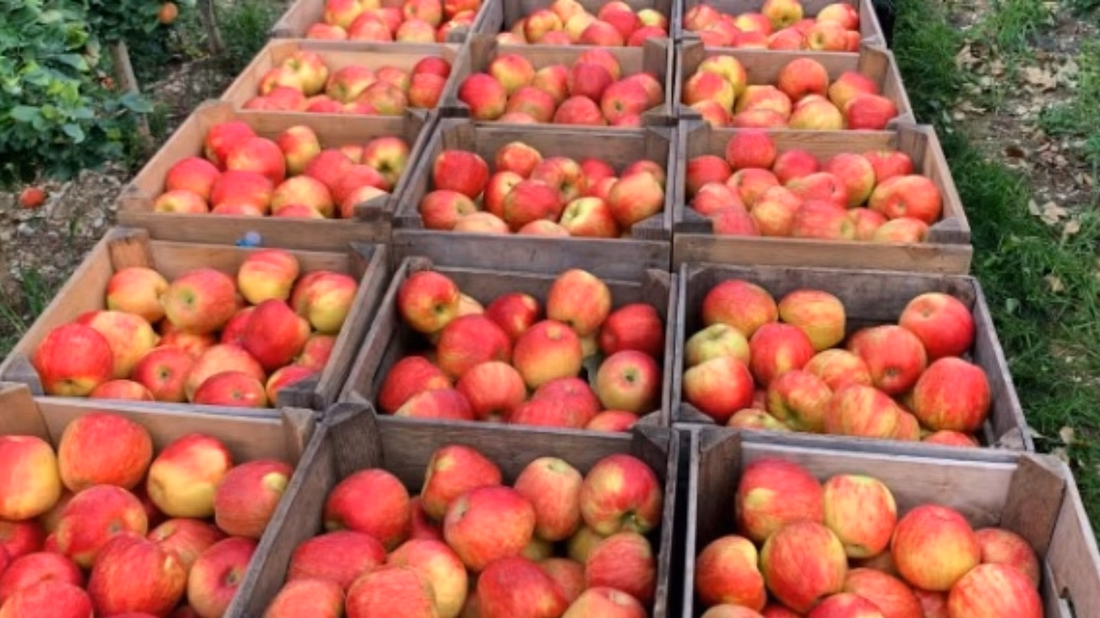 Image for post 348279