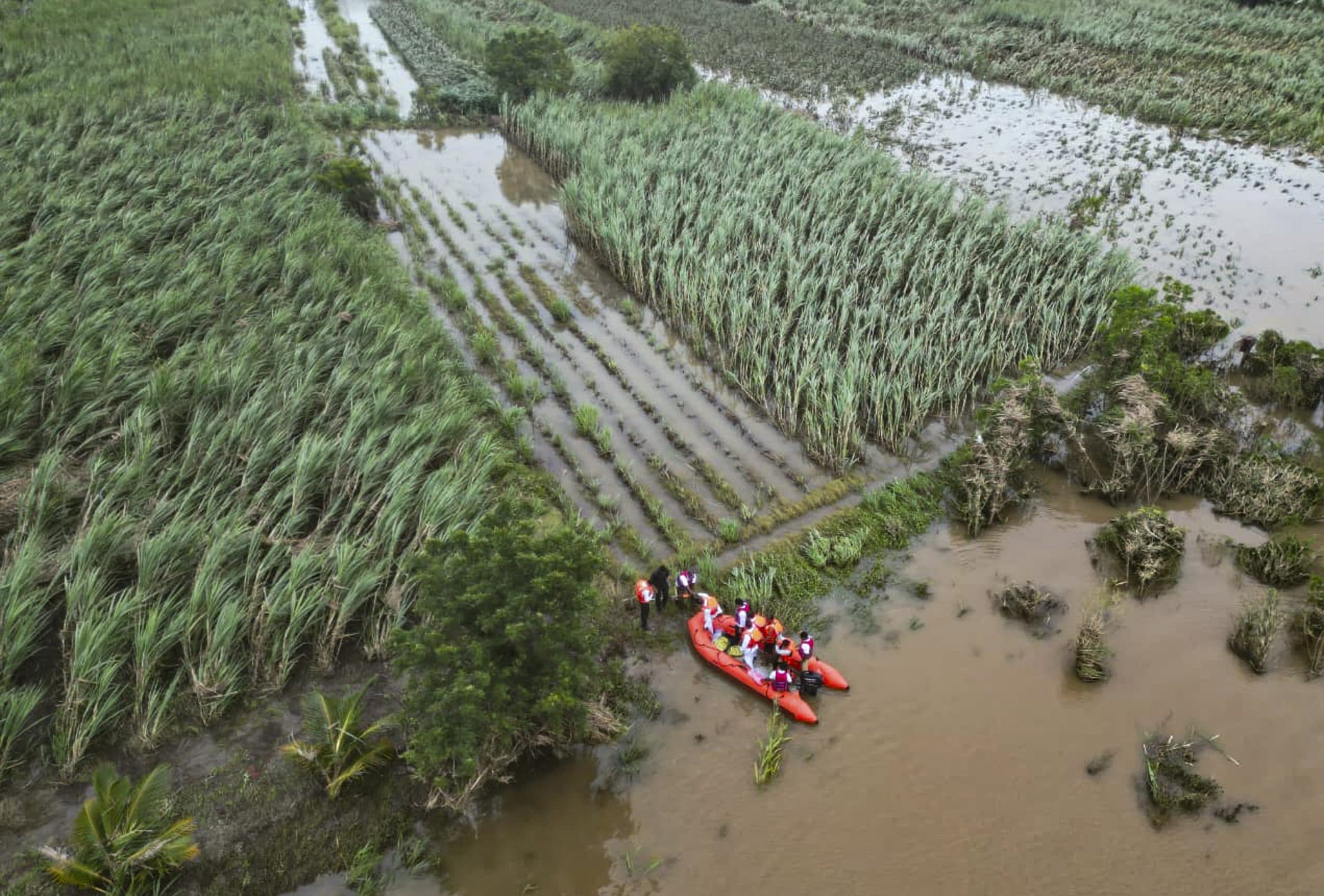 Image for post 365825