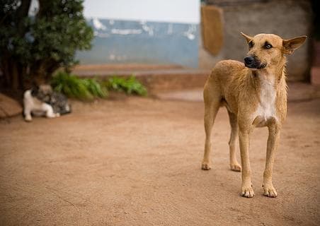 Image for post 340867