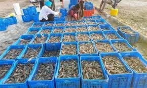 Image for post 338637