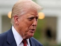 Image for post 339728