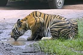 Image for post 359096