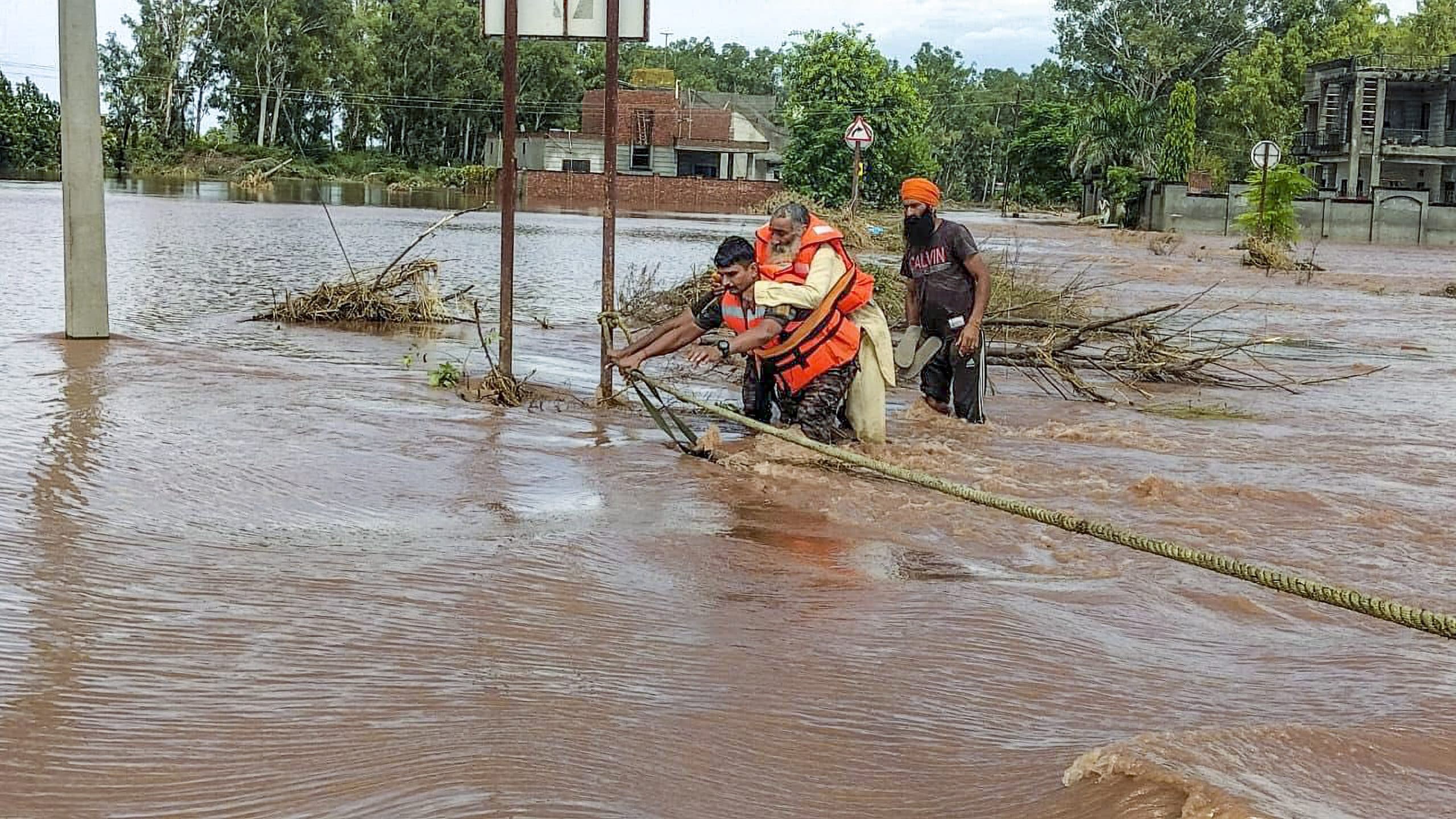 Image for post 319692