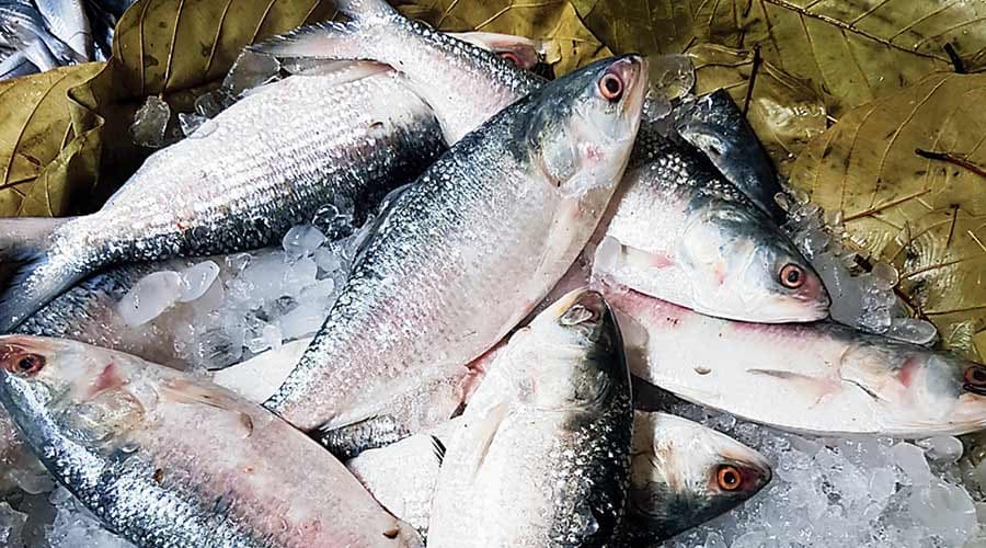 Image for post 325057