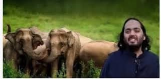 Image for post 333723